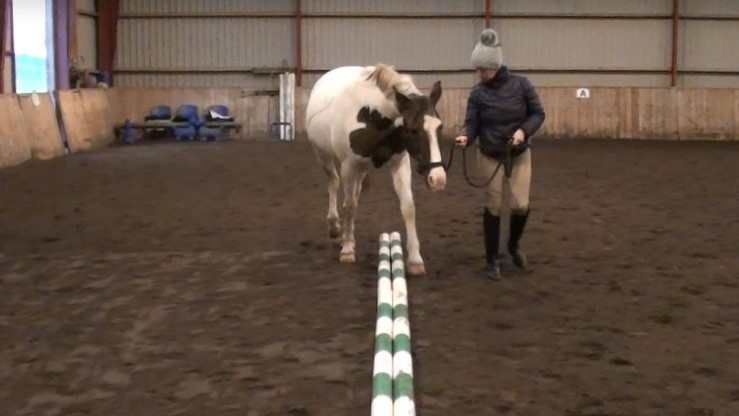 Passion passerer 2 bomme