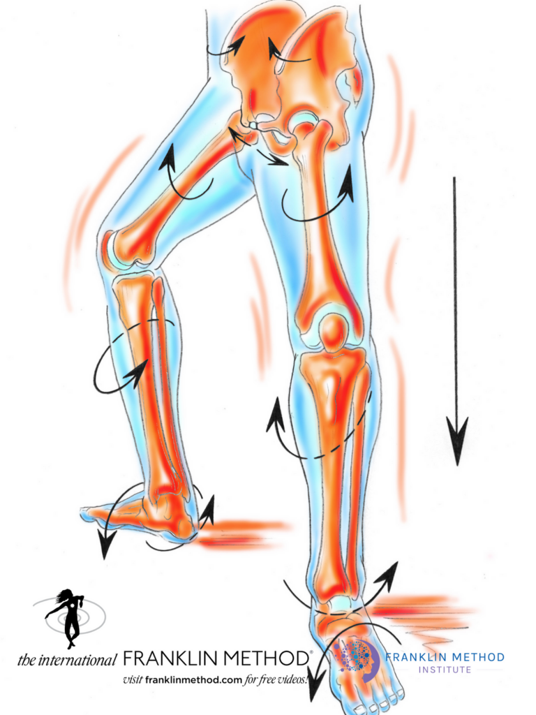 Knoglerytmer i benene