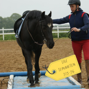 Temaaften - hjælp din hest til bedre kropsbevidshed