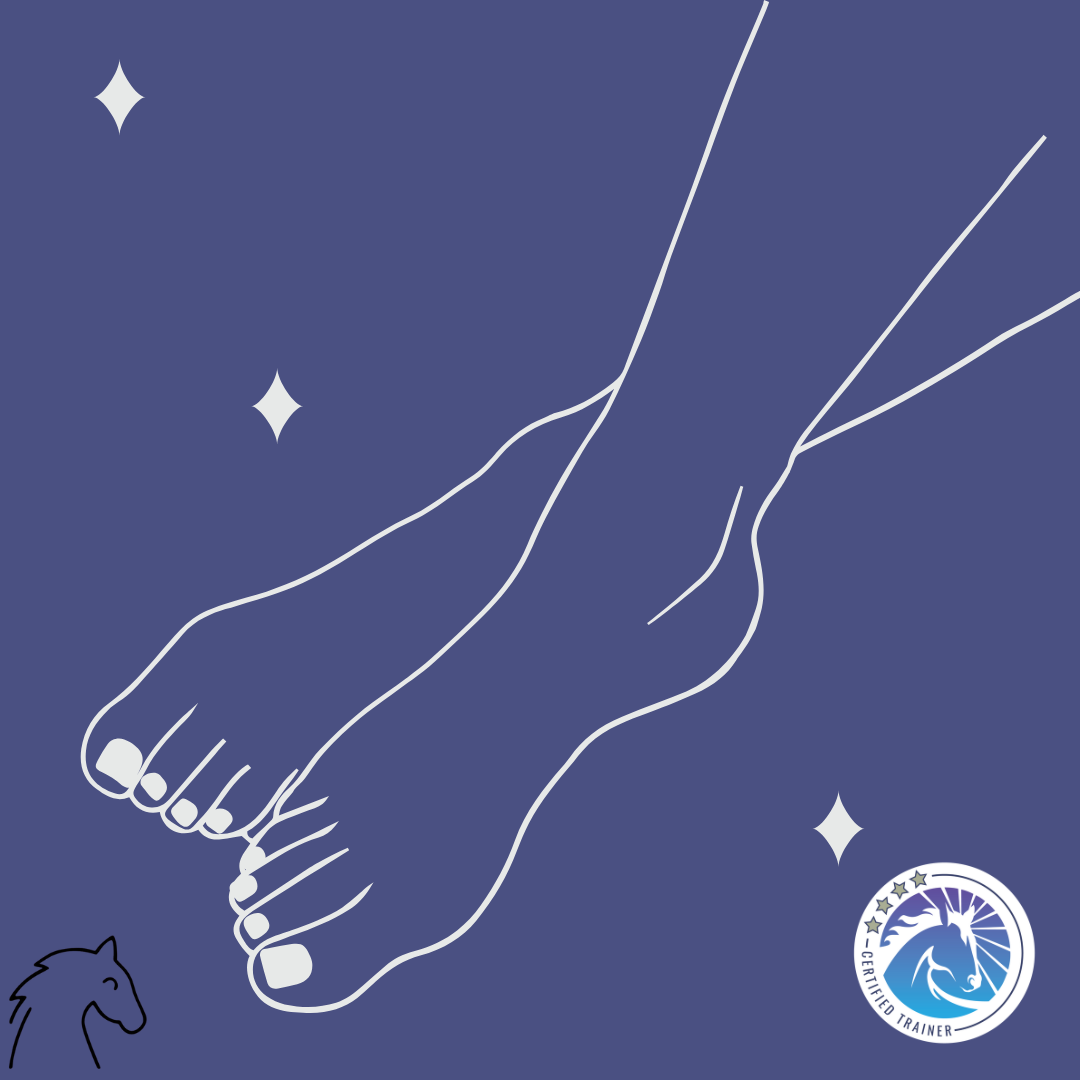 TRAIN YOUR SEAT - FØDDERNE