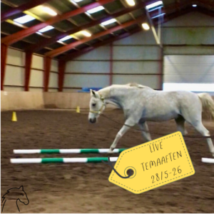 Temaaften: Longering med rekvisitter