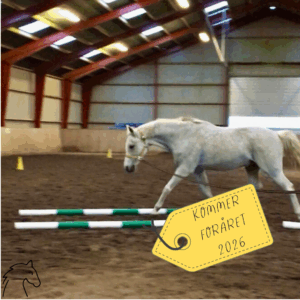 Longetræning med rekvisitter