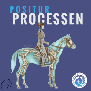 Positur Processen - dynamisk balance i sadlen