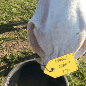 Temadag om praktisk brug af snuse arbejde