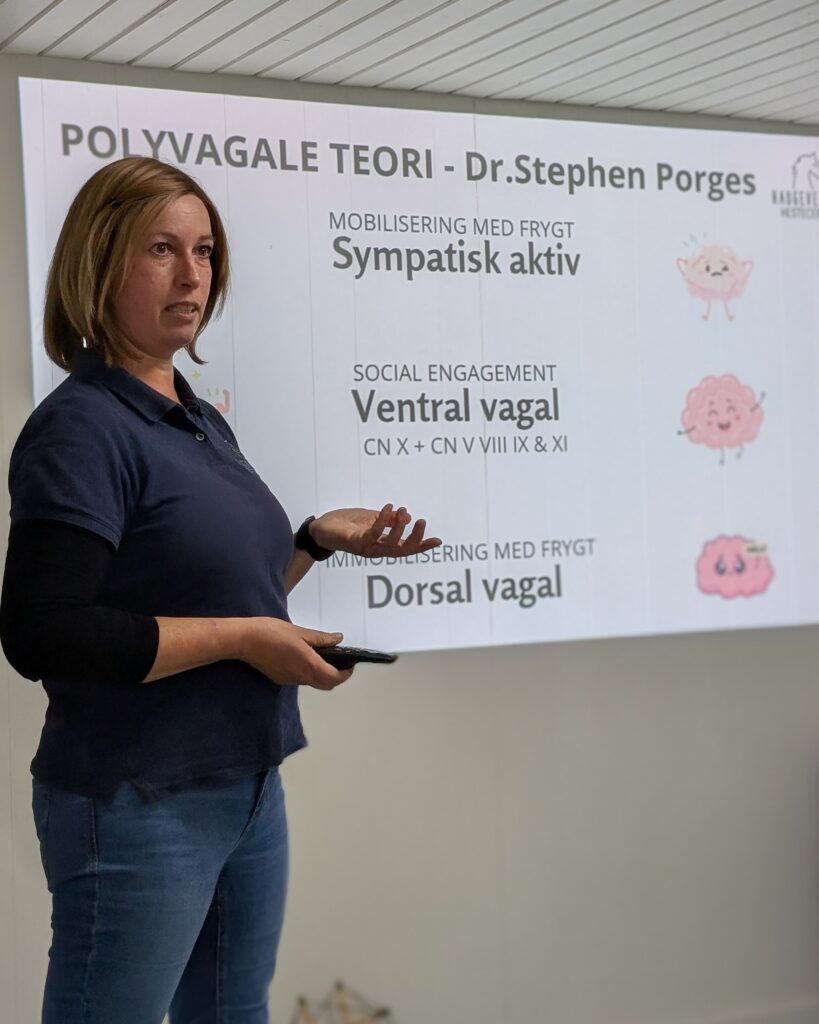 Kursus om dit nervesystem