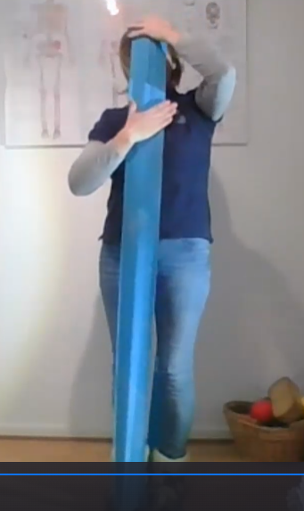 Onlinetræning og ALL ligamentet