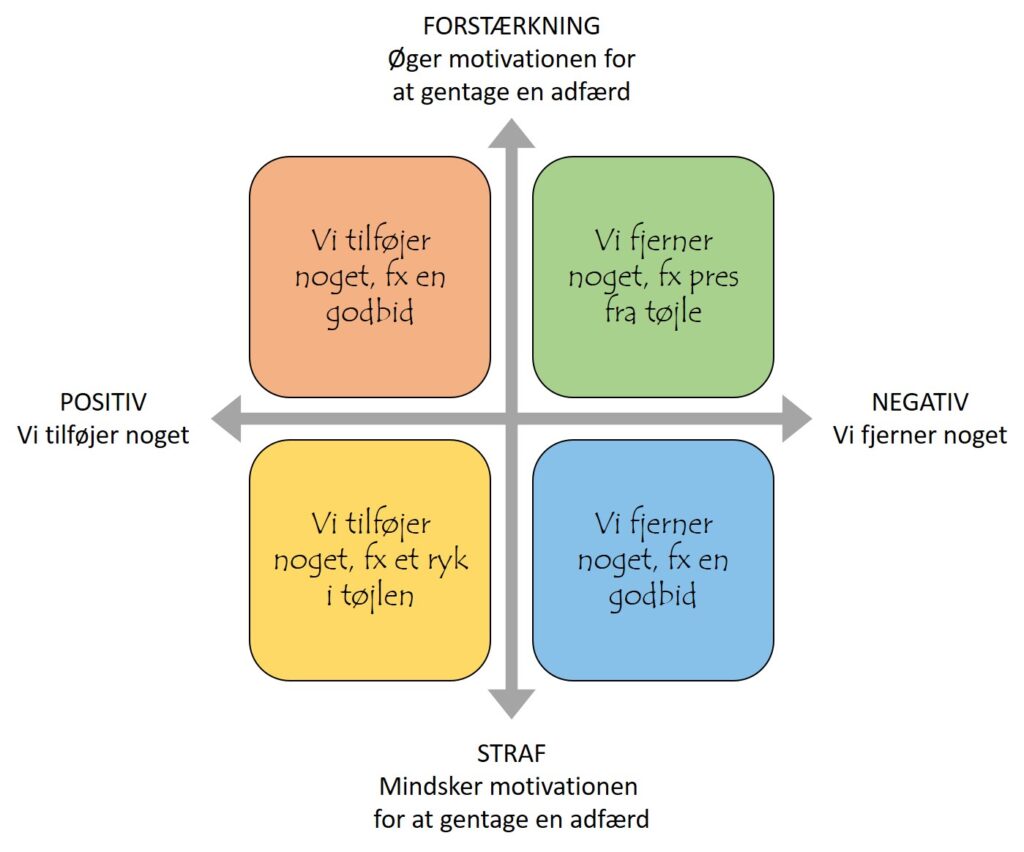 Læringsfelterne, der danner grundlag for indlæring