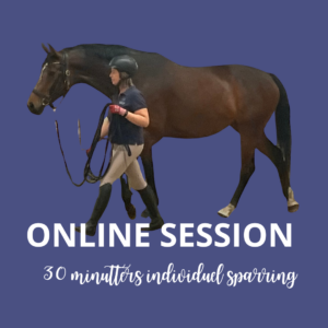 foto til online session