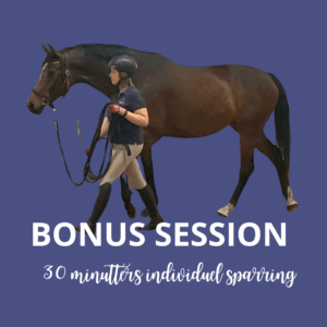 30 MIN ENE-SESSION ONLINE