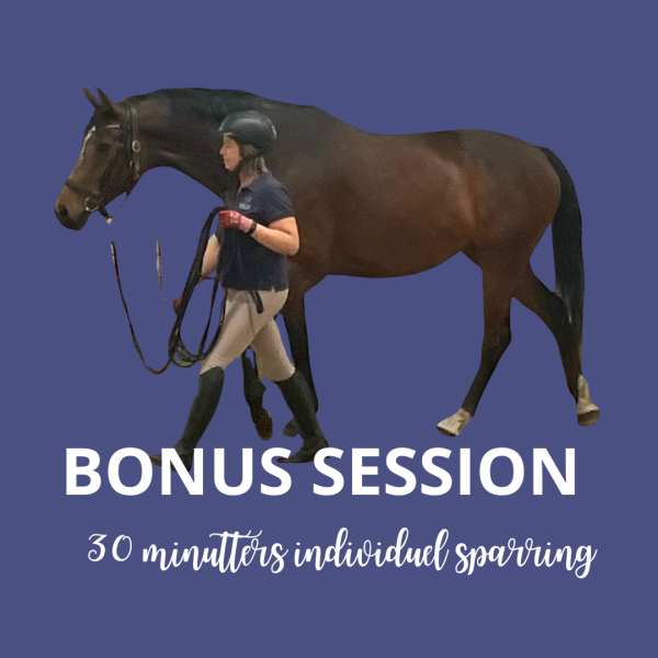 Varebillede: bonus session